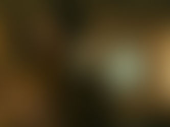 Tall Pines não é o que parece: Desobedientes conquista a liderança no Top 10 da Netflix Brasil