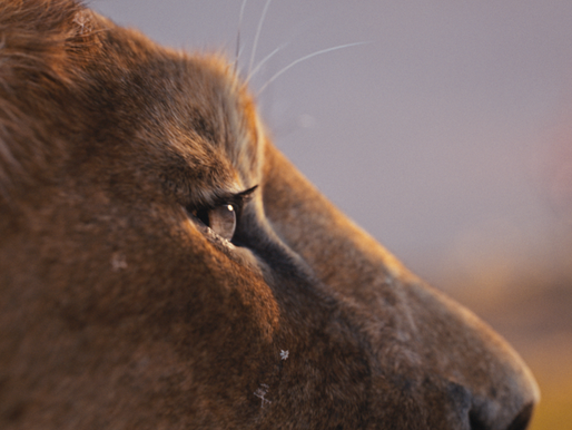 D23 Brasil: Novo trailer de 'Mufasa: O Rei Leão' é revelado pela Disney