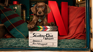 Netflix encerra gravações da nova série live-action 'Scooby-Doo: A Origem'