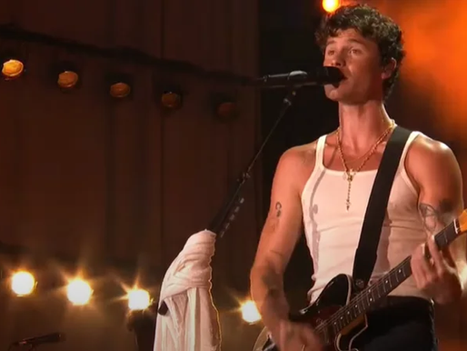 Shawn Mendes, Raye e mais: Saiba quem vai agitar o MTV EMA 2024!