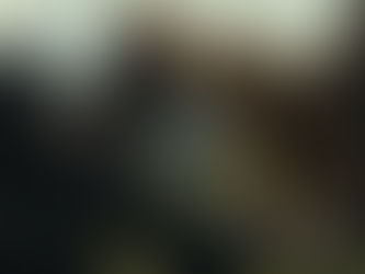 Planeta dos Macacos: O Reinado, da 20th Century Studios, estreia em maio de 2024 nos cinemas