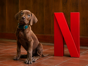 Netflix aposta na fofura de Scooby-Doo para apresentar nova geração da Mistério S/A