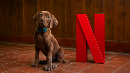 Netflix aposta na fofura de Scooby-Doo para apresentar nova geração da Mistério S/A