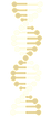 dna-infographic-1_edited_edited.png