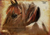 When you are the Accused: Horse Art