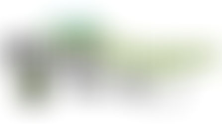 #Horsebloggers Collaboration