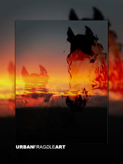 Sunset Gaze - Horses in Art
