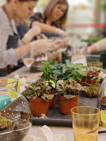 Materijali za izradu biljnih terarija na korporativnom eventu
