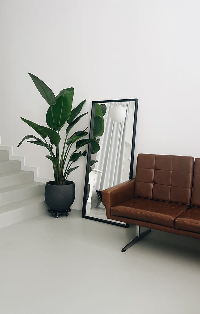 Rajna Studio Strelitzia + kauč.jpg