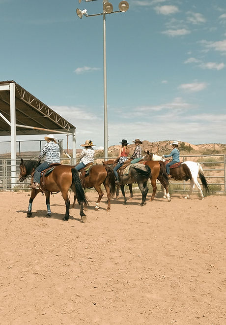 HorsePower Women's Horsemanship Riding Clinic