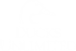 9d5b12a6-388e-11ef-bb8b-0a58a9feac02.png