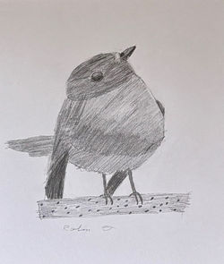 Oiseau chanteur