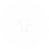 wht cross w burst
