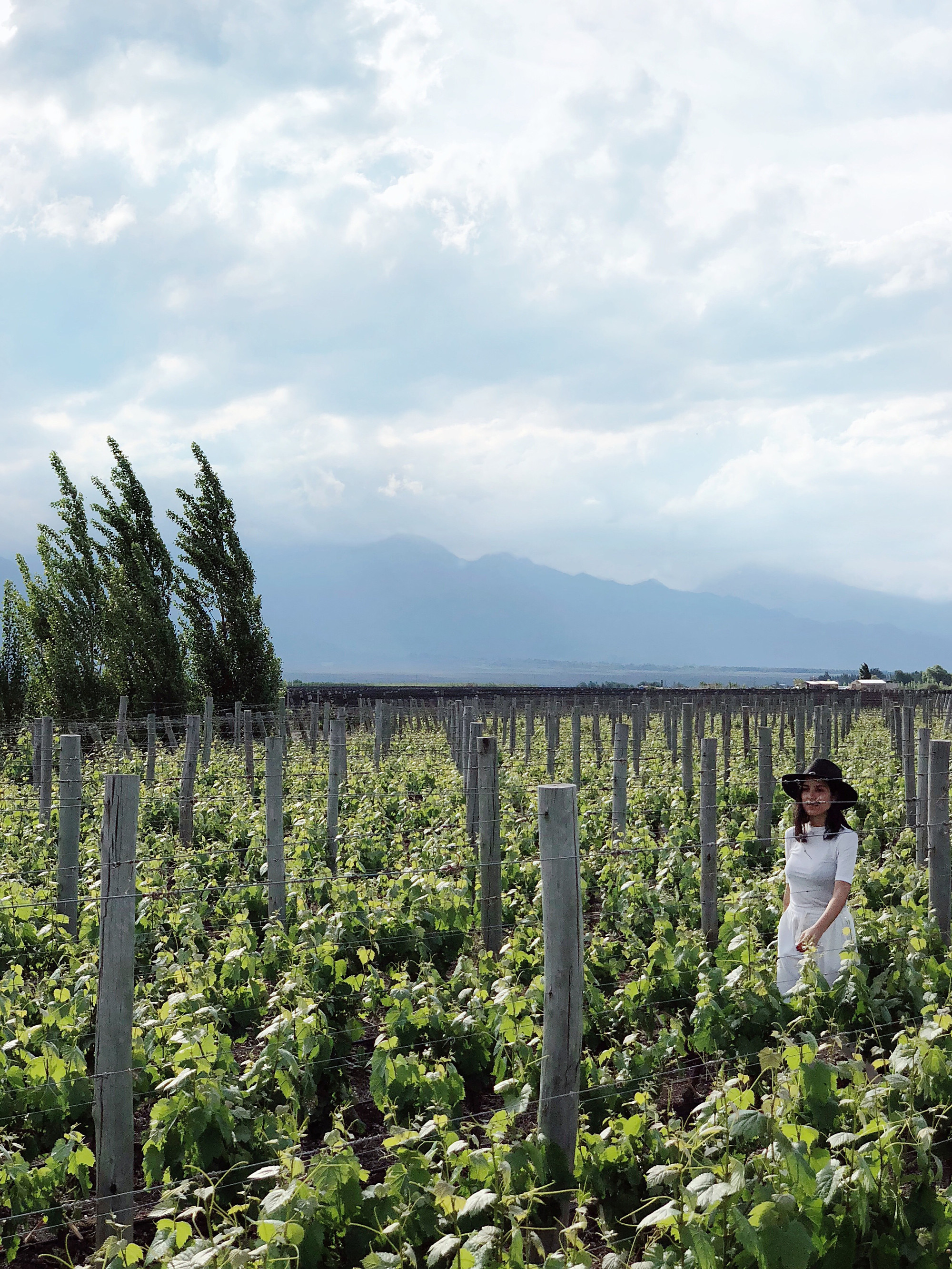 3 Dias En Mendoza Ruta Del Vino