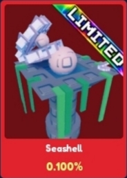 Seashell artwork