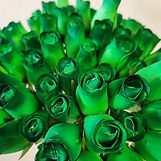 28 lt green w dk green.jpg