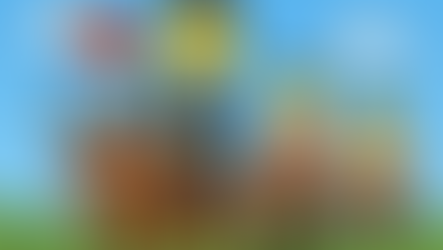 CHINAS SHINE OR WARNING SIGNS?!