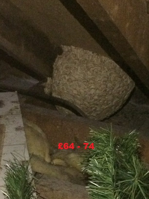 Treat wasp nest in loft