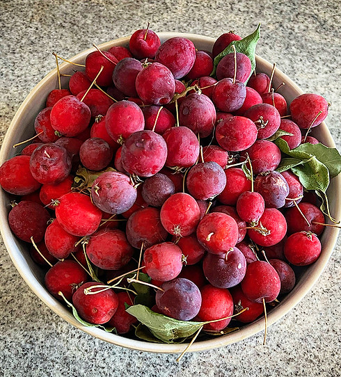 Garden_berries.jpg