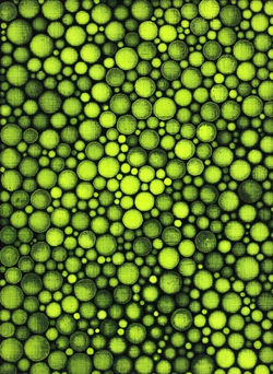 Yayoi Kusama - Dots on canvas