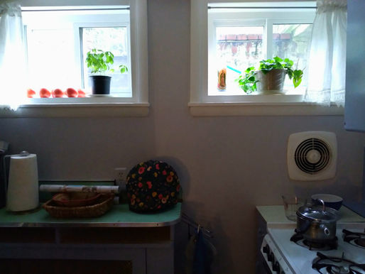 Insights at Basecamp – When Life Gives You Tomatoes...
