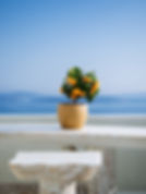 a orange plant pot on white-marble in a balcony on the greek islands