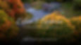 Return to Essence ~ A Sacred Psilocybin & Bufo Retreat