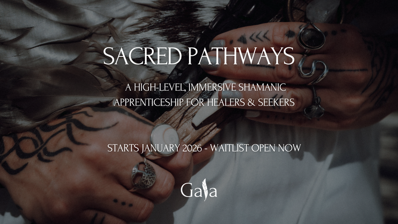 Sacred Pathways Shamanic Apprenticeship