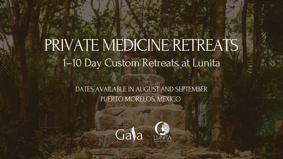 Private Medicine Retreats