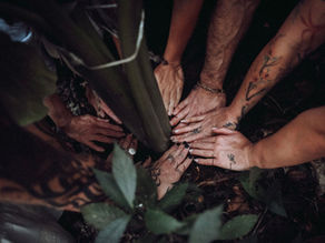 Hands unite to nurture new life at the Lunita Jungle Sanctuary Eco Retreat, symbolizing community and connection with nature.