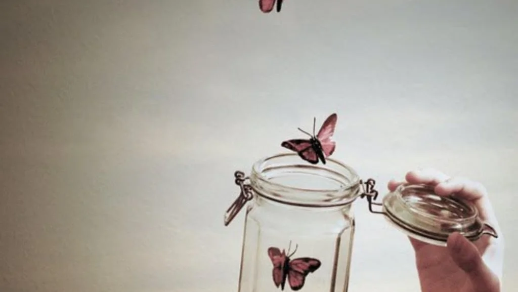 Letting Go & Letting In ~ Final Medicine Retreat @ Gaia