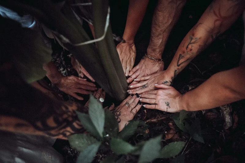 Psilocybin Facilitator Training