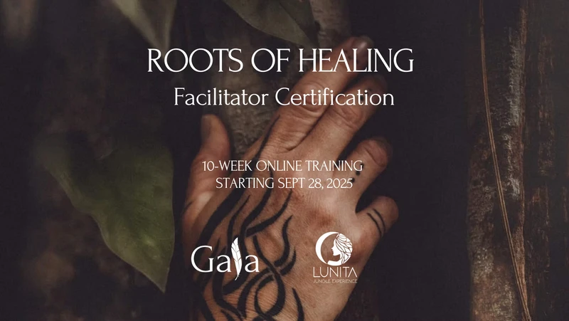 Psilocybin Facilitator Training