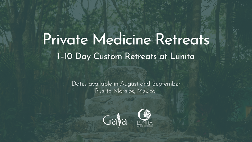Private Medicine Retreats