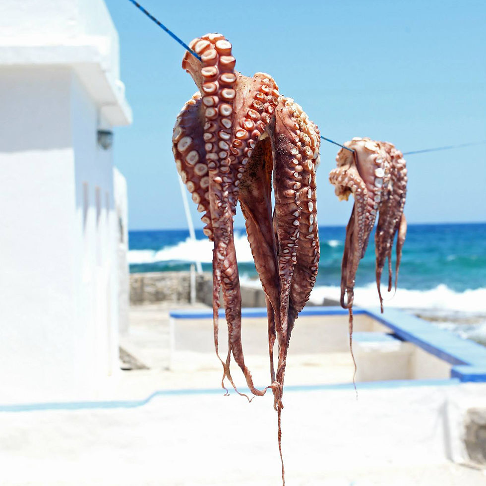 🍽️ EAT THE ANIMAL