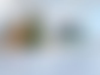 Aura North Sydney Christmas lobby