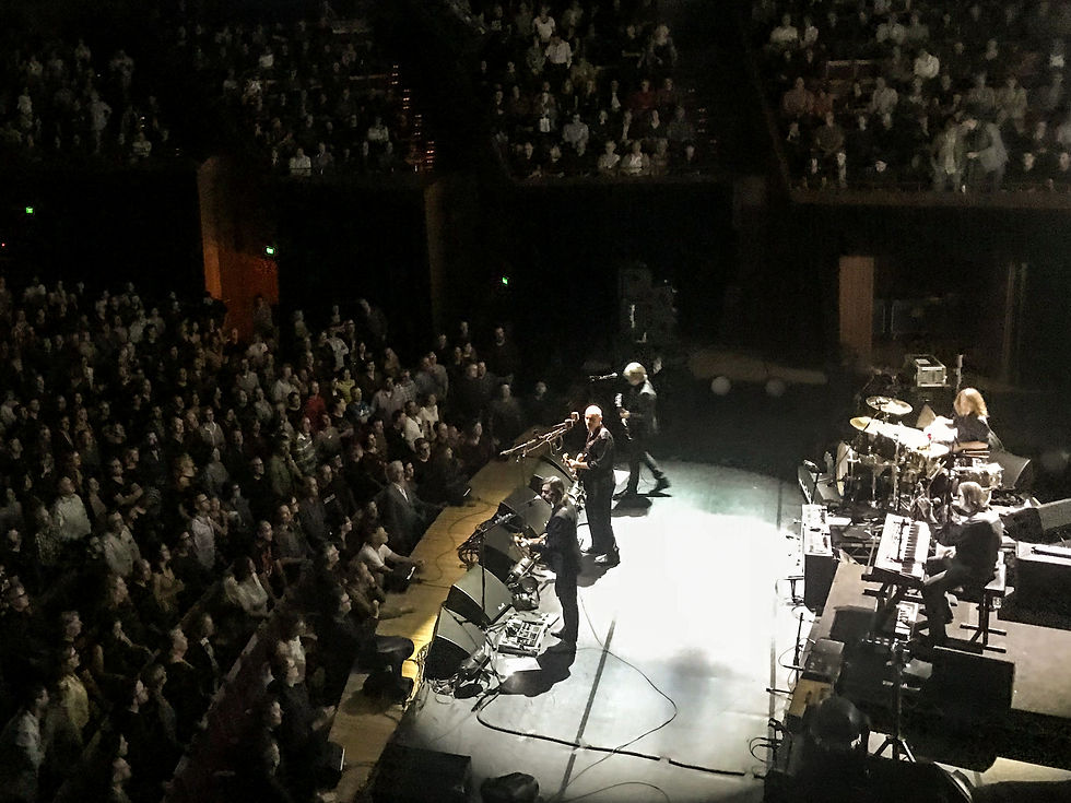 Matt Johnson The The Sydney Opera House