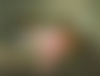 Ensemble Il Postiglione