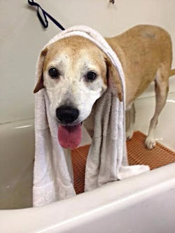 Edited Image 2015-6-10-0:53:20