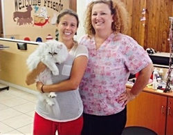 Pet Grooming 2015-10-11-19:59:52