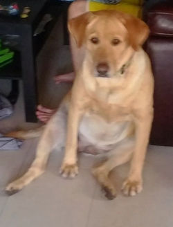 Message_1459091931501_edited