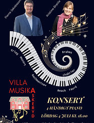 Piano concert promo banner Instagram story (1240 x 1754 px)_edited.jpg