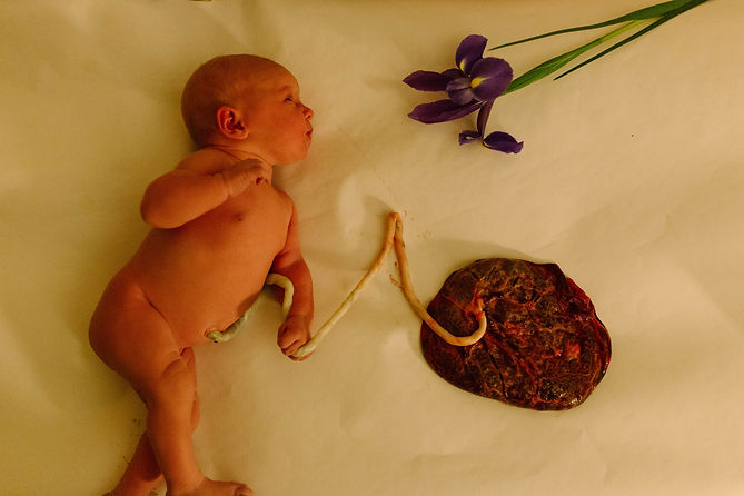 Kendra_Farris_Photography_April_1st_2021_baby_stevie-59.jpg