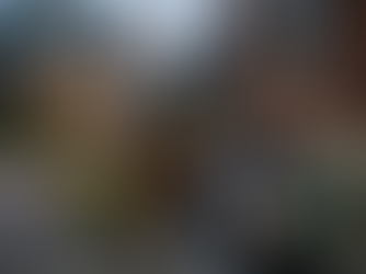 Feeding The Community