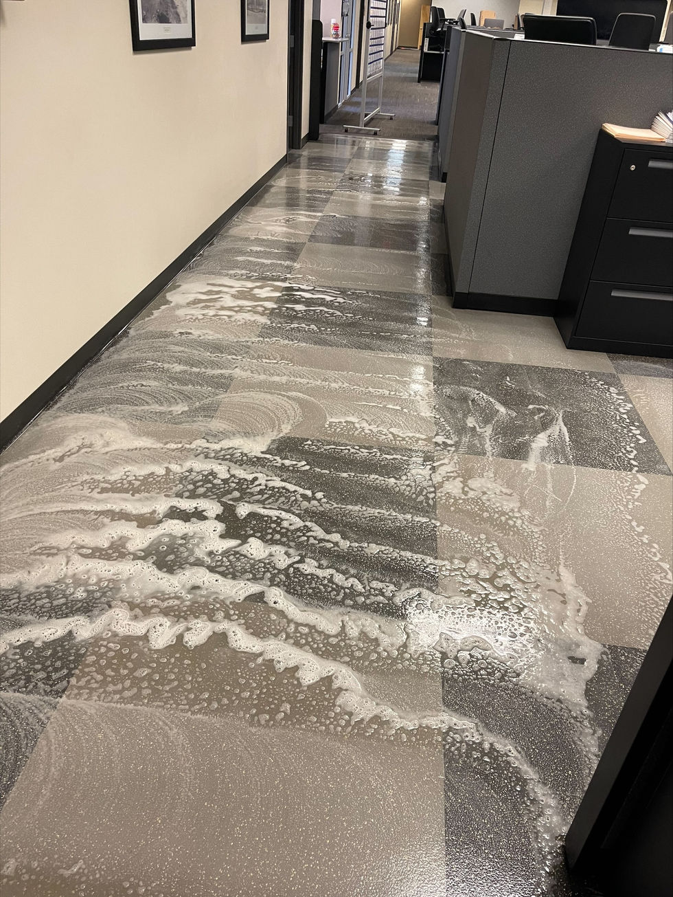 floor care 2