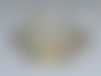 おすすめの商品