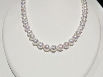 おすすめの商品