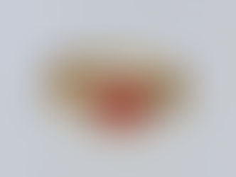 本日のおすすめ商品