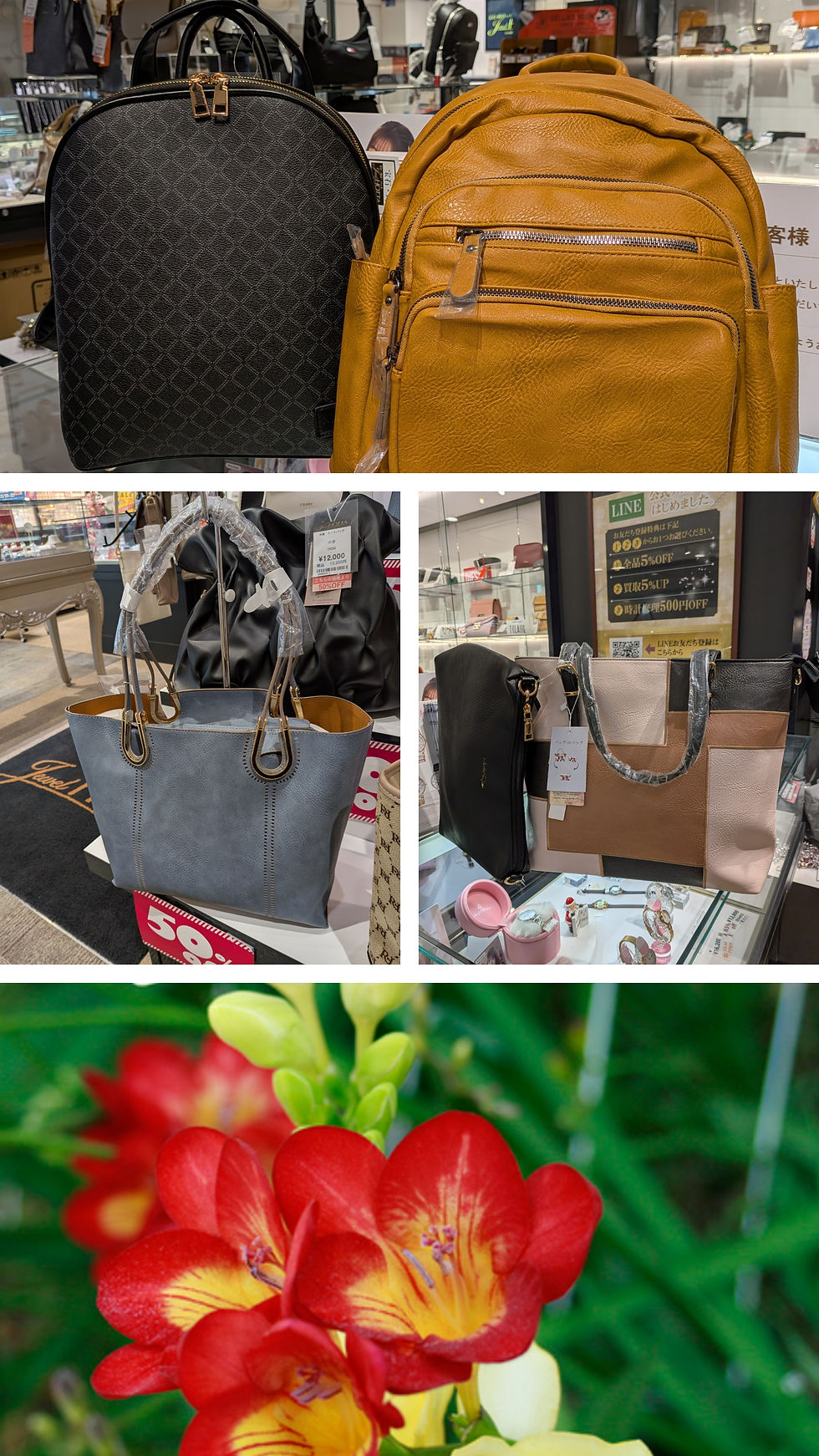 本日のおすすめ商品