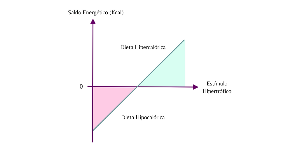 um gráfico da relação entre o saldo energético e o estímulo hipertrófico